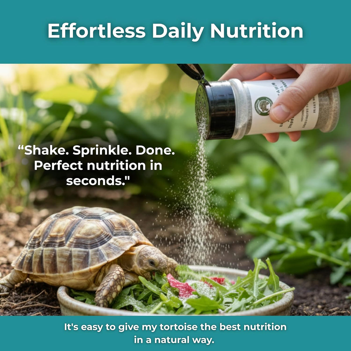 Herpetologist formulated calcium supplement for grassland tortoises