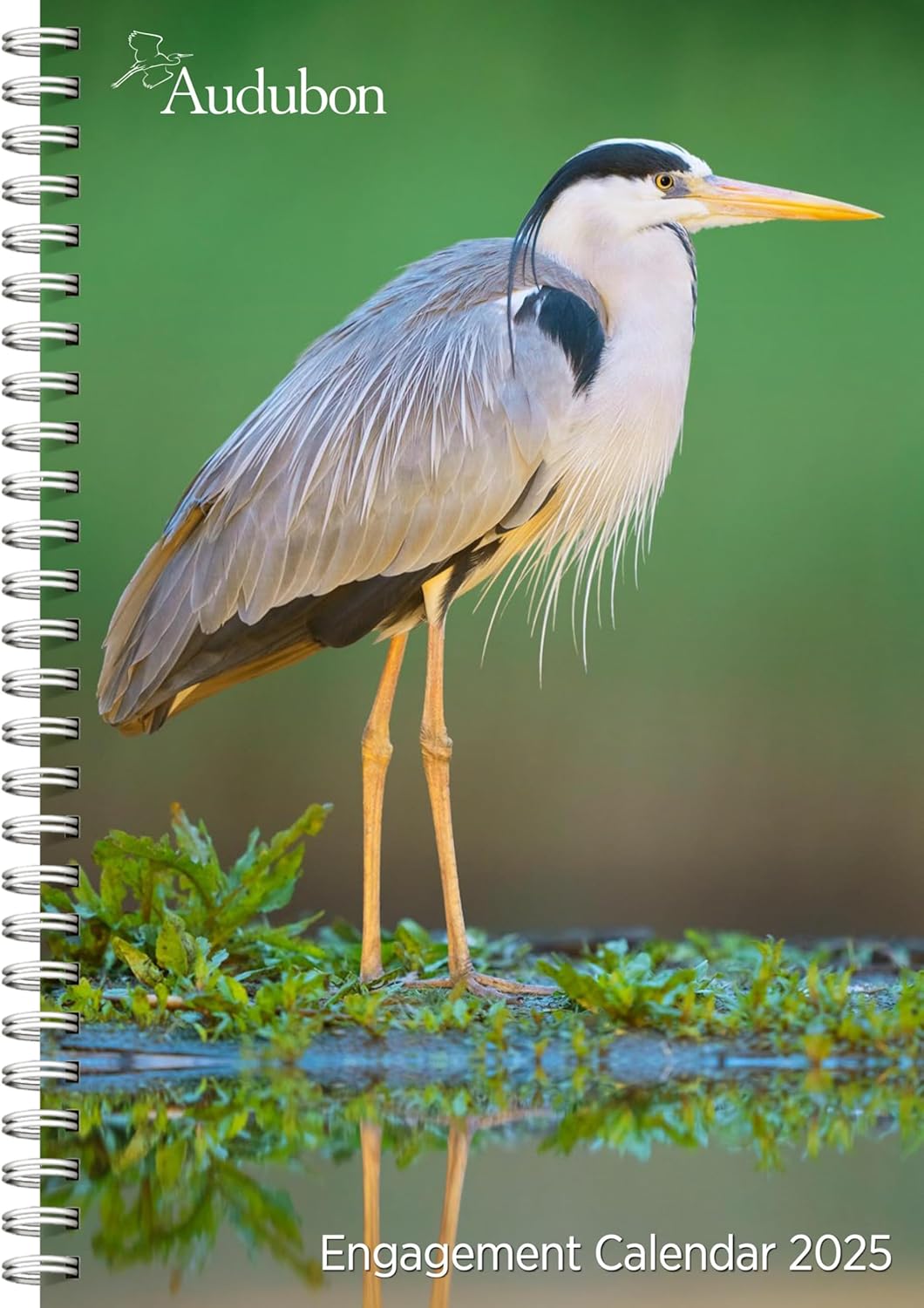 Audubon Engagement Calendar 2025: A Tribute to the Wilderness and Its Spectacular Landscapes - Image 1