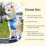 Close up of adjustable chest straps on denim dog harness