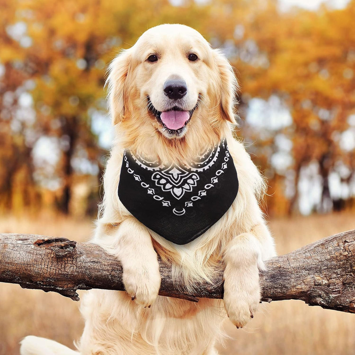 Kigeli black bandanas stacked together