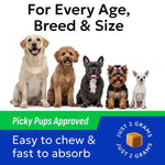Dog eating Bark and Spark digestive health treat