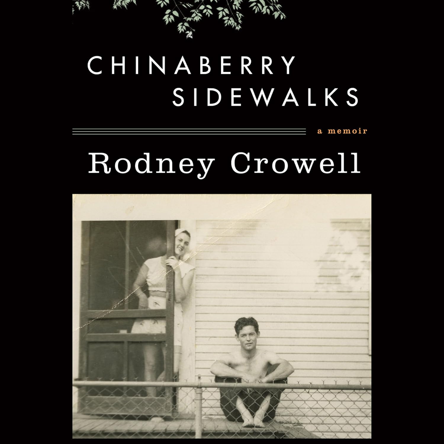 Chinaberry Sidewalks - Image 1