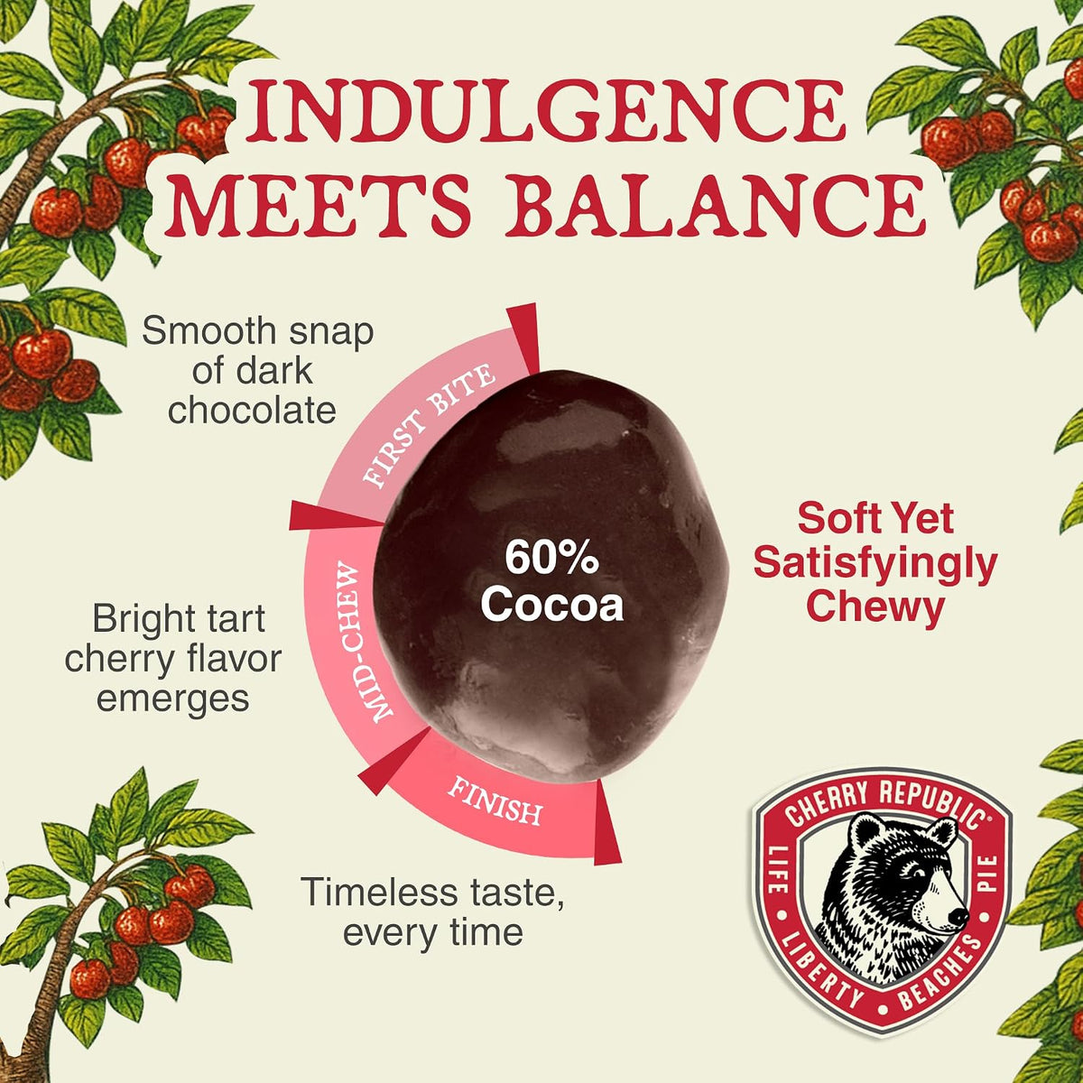 Gourmet Michigan Montmorency cherries in dark chocolate