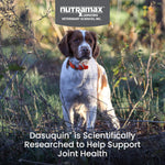Nutramax Dasuquin for small to medium dogs premium joint care imported formula