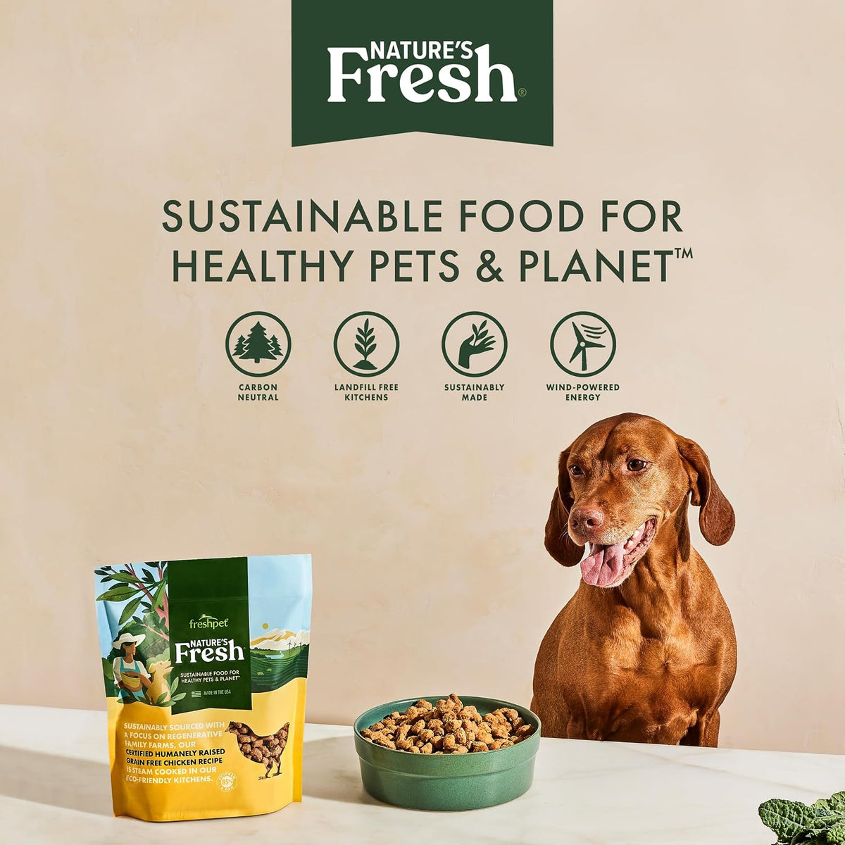 Close up of Freshpet fresh dog food texture