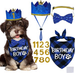 STMK dog birthday party supplies kit front view featuring blue plaid bandana and crown hat.