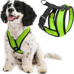 Gooby Comfort X Head in Harness - Pink, Small Harness Patented Choke-Free X Frame - Perfect on The Go Harness for Medium Dogs No Pull or Small Dogs for Indoor and Outdoor Use - Image 9