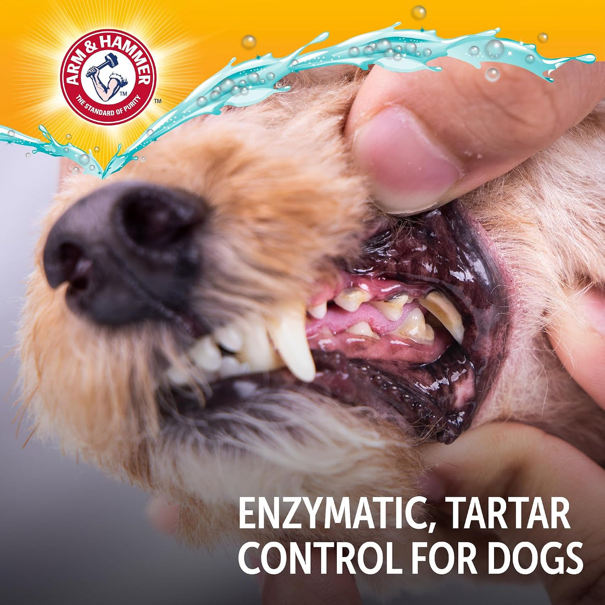 Arm and Hammer complete dental kit for small dogs and puppies