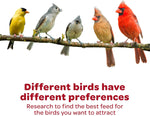 Kaytee Wild Bird Finch Food Blend, 3 lb - Image 9