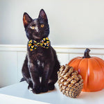 Side angle view of white pumpkin print cat collar with bell