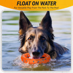Large breed dog playing with orange Fusoto flying disc