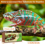 Riare premium coconut husk terrarium bedding pack of two lifestyle view