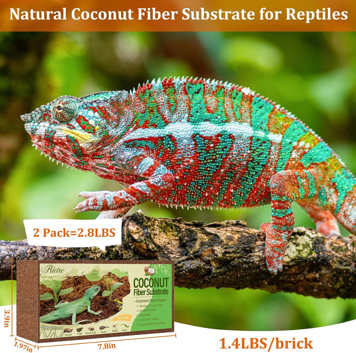 Riare premium coconut husk terrarium bedding pack of two lifestyle view