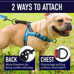 Detail of Leash Boss harness quick release buckle
