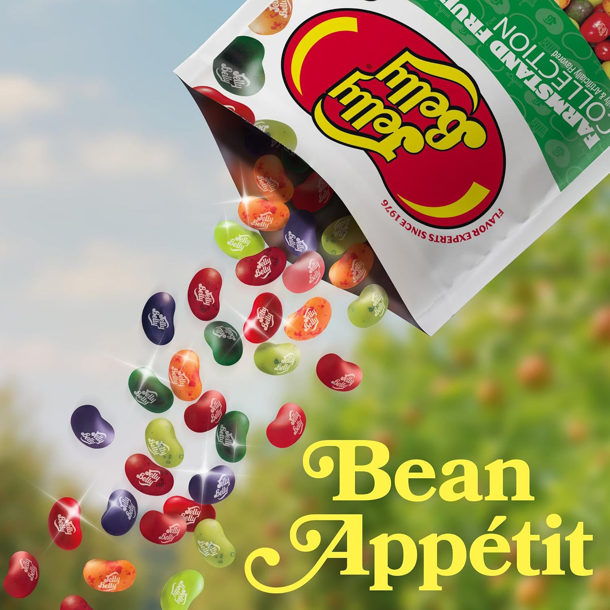 Authentic Jelly Belly candy selection imported to India