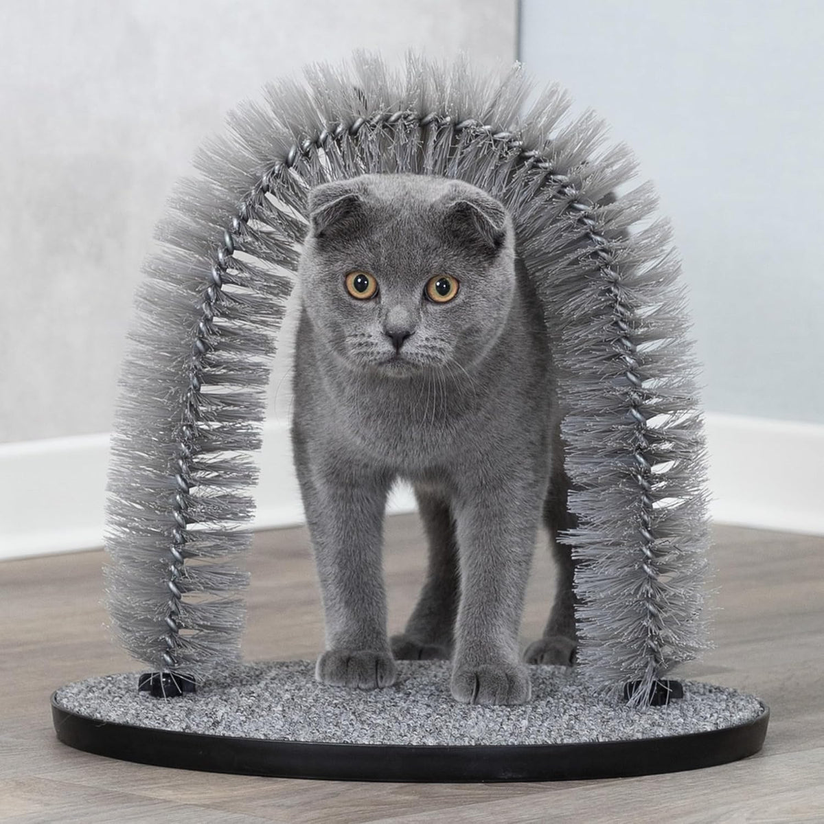 Packaging box and components of the Trixie massage and fur care arch