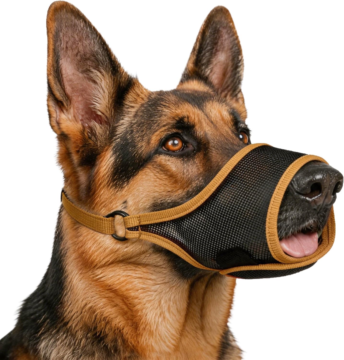 Luckypaw mesh dog muzzle brown front view