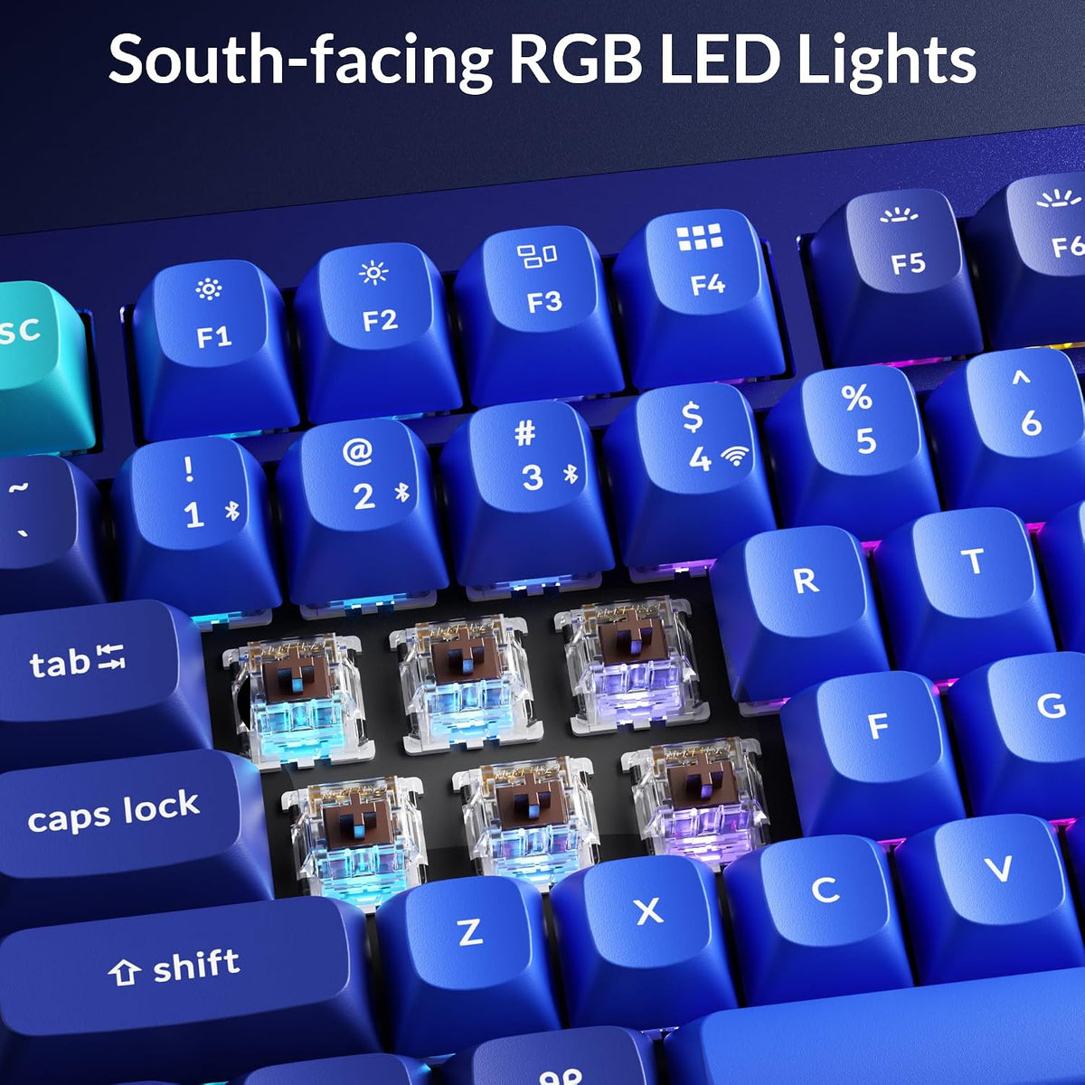 Keychron Q1 RGB Wired Custom Mechanical Keyboard, 75% Layout RGB Backlight with Hot-swappable Gateron G Pro Brown Switch Double Gasket Compatible with Mac Windows Linux (Blue) -Version 2 - Image 3