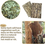 Reptile terrarium setup with Fhiny natural bark backdrop