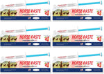 Qouinuey equine paste 6 pack front packaging view