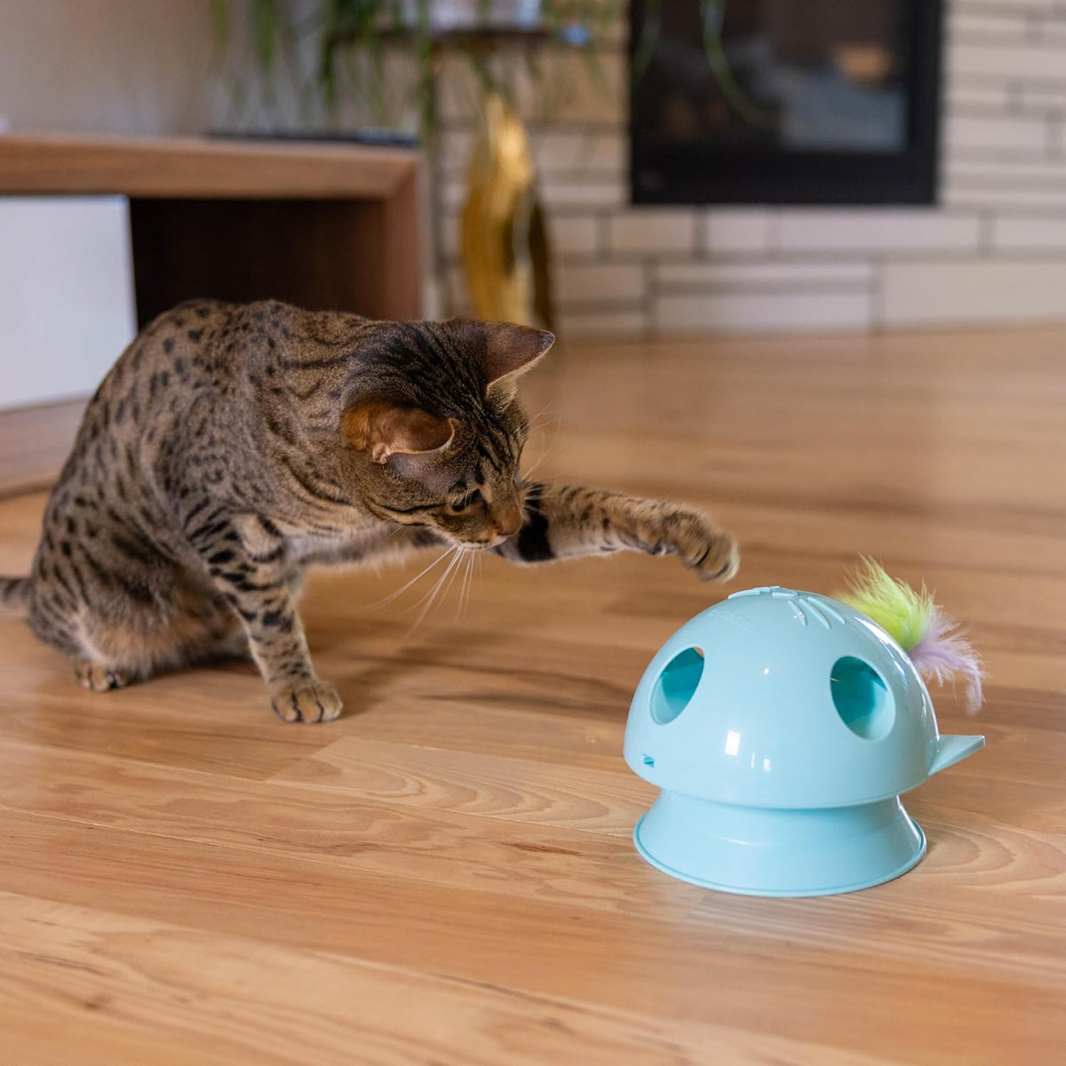 Catstages interactive toy in use with cat