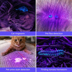 Handheld black light flashlight revealing hidden stains on a home carpet surface.