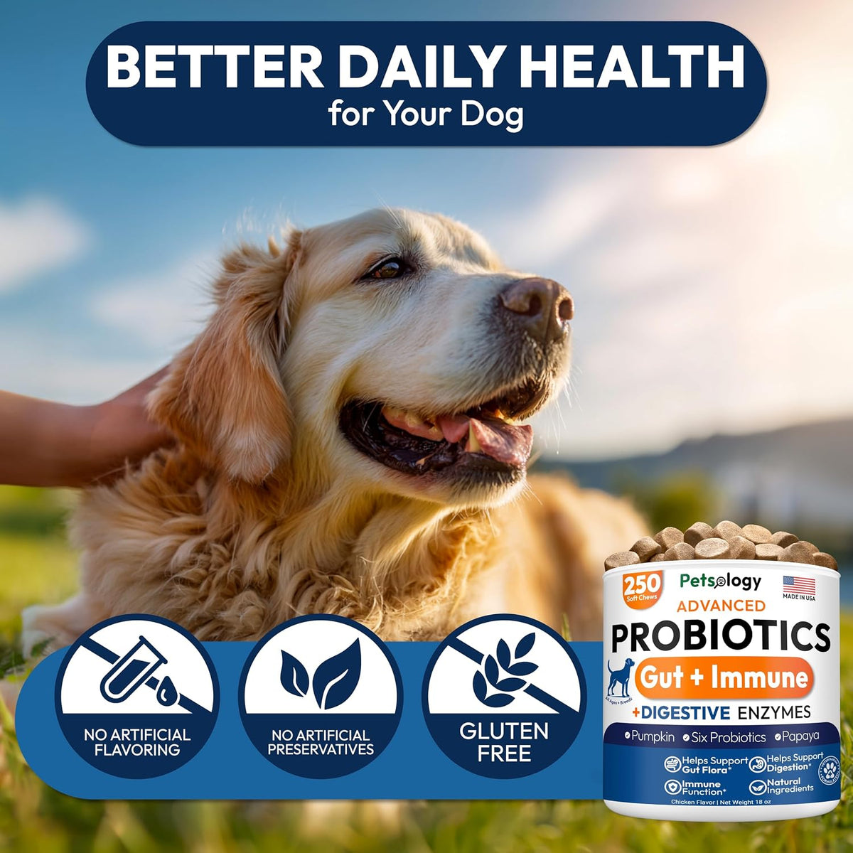 Back panel of Petsology probiotics for dogs showing ingredients