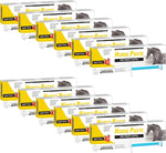 Qouinuey 12 Pack Equine Paste front view packaging