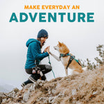 Outdoor pet gear styled for hiking and training