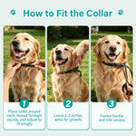 Flea and Tick Collar for Dogs 6 Pack, Natural Flea & Tick Prevention with Essential Oils, Waterproof Adjustable Dog Collar for Small Medium Large Dogs, Black & Gold - Image 9