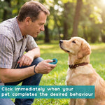 Multi pet training clicker set being worn on a wrist