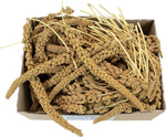 Premium sun-dried millet sprigs for pet birds