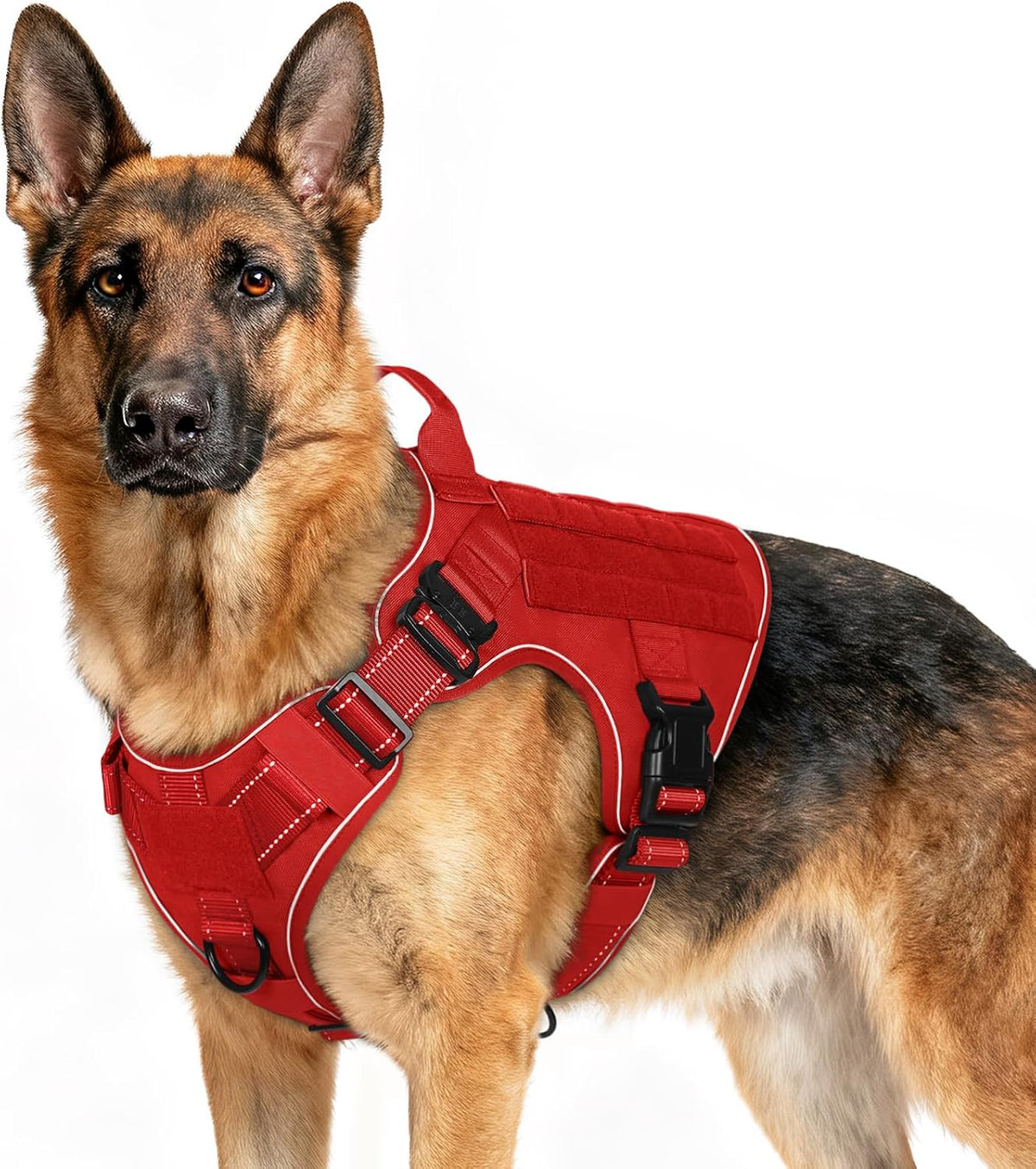 rabbitgoo Tactical Dog Harness for Small, Heavy Duty Military No Pull Vest | Sturdy Metal Buckles, 5 Adjustments, Molle System, Powerful Pullers for Training, Hunting, Outdoor, Grey, Small - Image 12