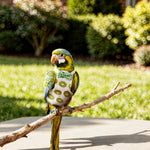 Comfortable polyester bird diaper clothing with banana and bow designs for parakeets