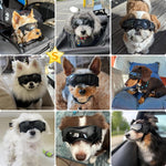 Petleso puppy sunglasses side profile displaying adjustable head strap