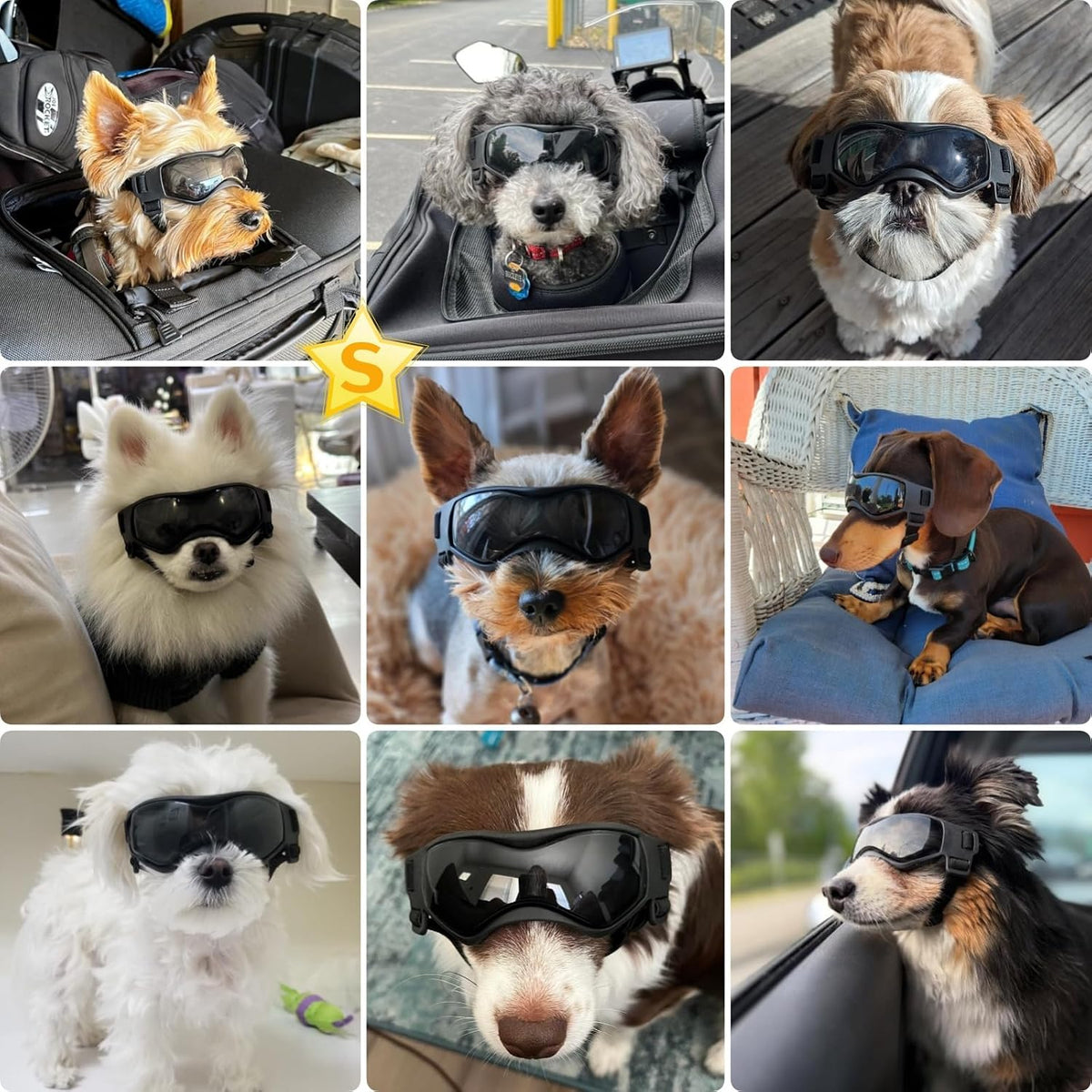 Petleso puppy sunglasses side profile displaying adjustable head strap