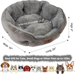 Asvin 20 inch cat bed plush interior
