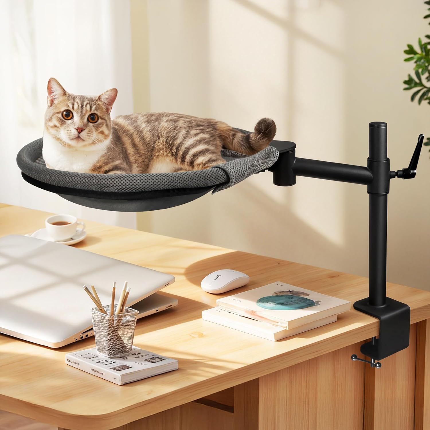 Crazydeer Cat Desk Bed 360 degree rotating front view