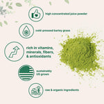 Micro Ingredients organic barley grass juice powder scoop and fine texture