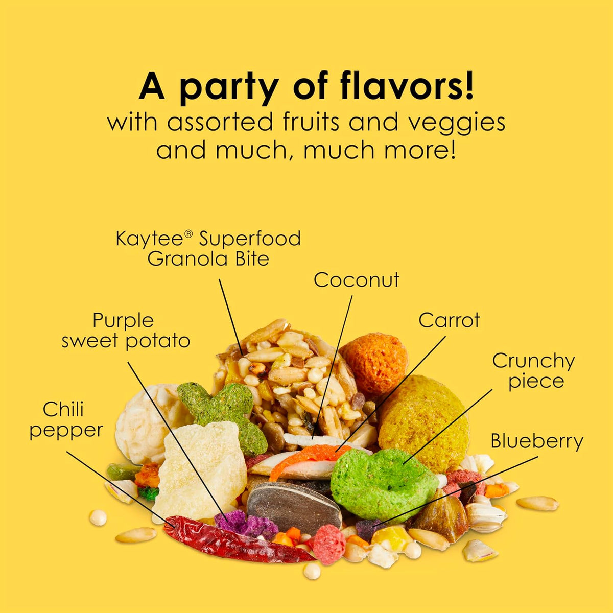 Texture and variety of ingredients in Kaytee Fiesta blend