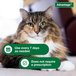 Advantage anti tick shampoo for kittens and adult cats over 12 weeks