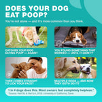 Chewia dog probiotics and digestive enzymes soft chews for stool eating prevention.