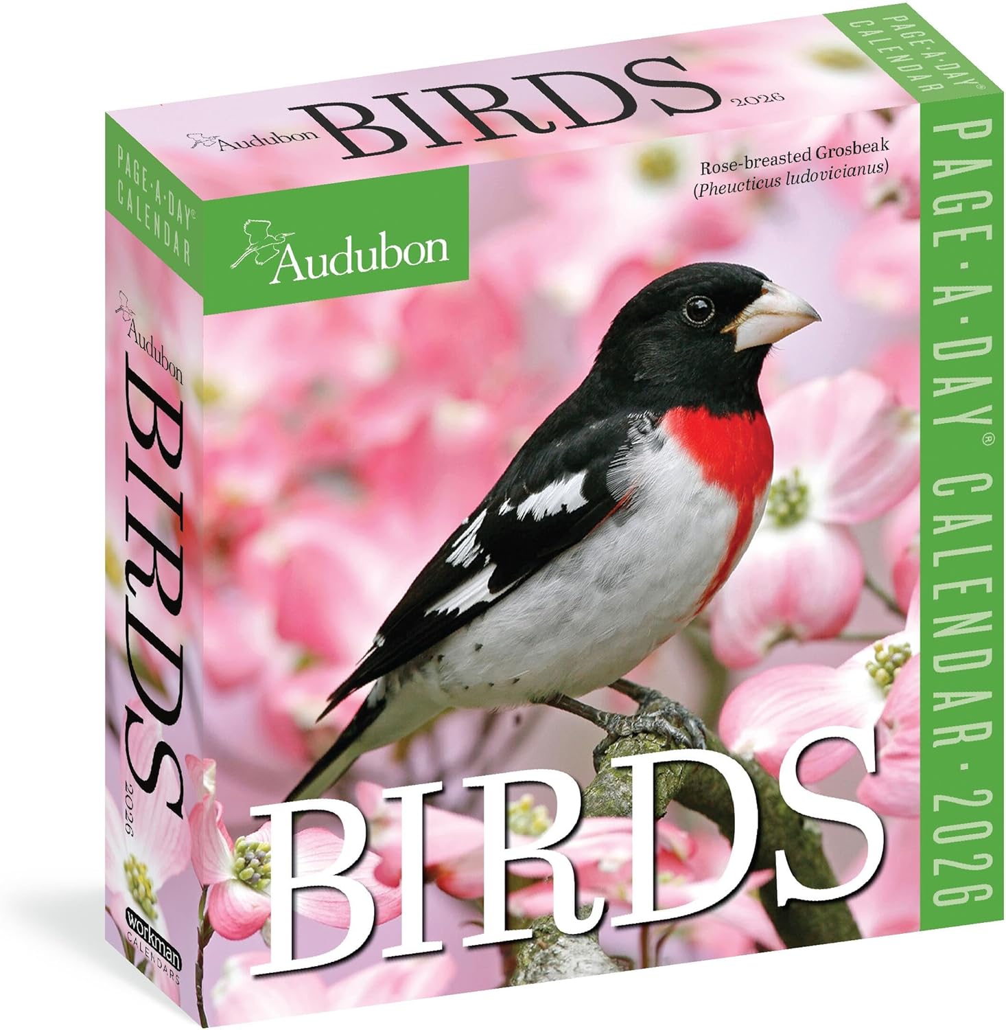 Audubon Birds Page-A-DayÂ® Calendar 2026: The World's Favorite Bird Calendar - Image 1