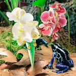 Dark pink and white artificial orchids for aquarium display