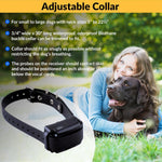 Side profile of Educator BarkLess Pro anti-bark device