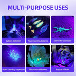 BEIKE mini ultraviolet blacklight detecting pet urine stains on a living room carpet.