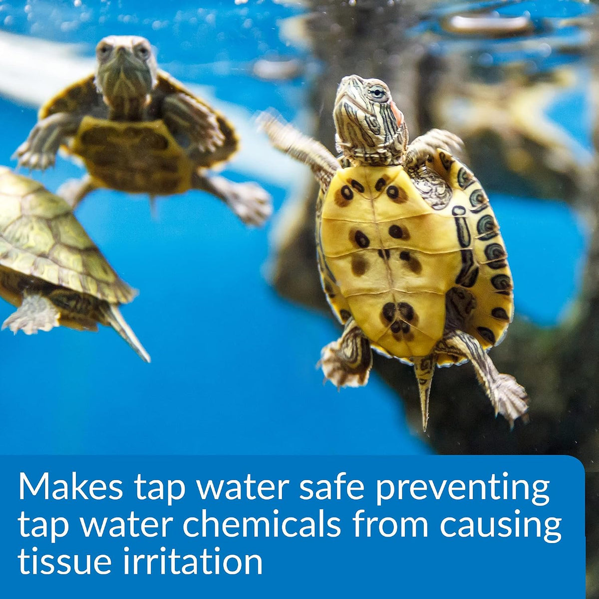 API Turtle Water Conditioner next to a measuring cap for tank setup