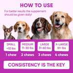 Dog Allergy Relief Chews for Itchy Skin - Seasonal and Food Allergy Chews for Shedding, Licking Paws, Hot Spot, Ears - USA Product - Omega 3 Fish Oil Skin & Coat Supplement - Anti Itch Immune Treats - Image 9