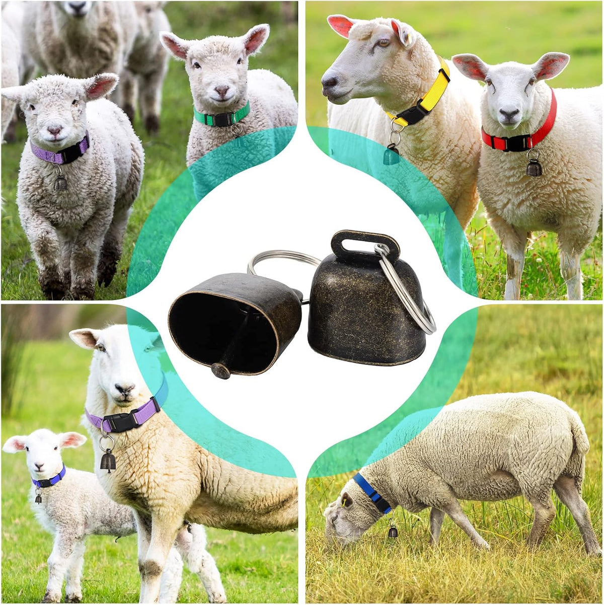 Packaging layout of the 12 pack Patelai livestock tracking accessories highlighting the fresh color assortment.