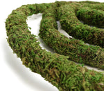 6.5 foot long bendable moss rope for lizard habitat